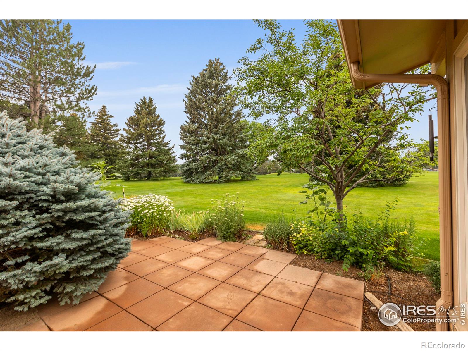 MLS Image #36 for 2305  turnberry road,fort collins, Colorado