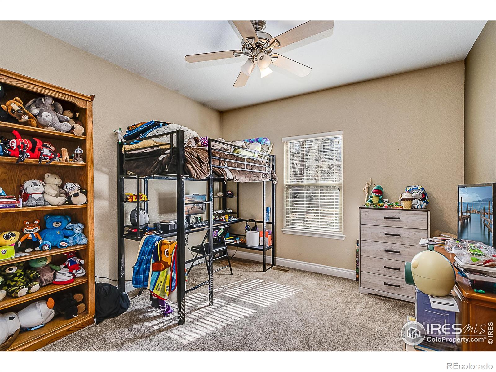 MLS Image #19 for 7704  poudre river road,greeley, Colorado