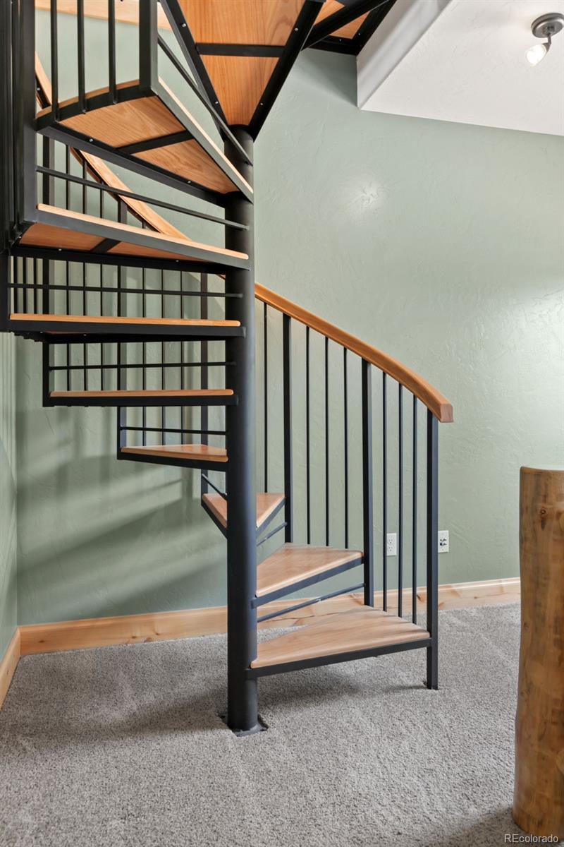 MLS Image #25 for 252  running elk point,divide, Colorado