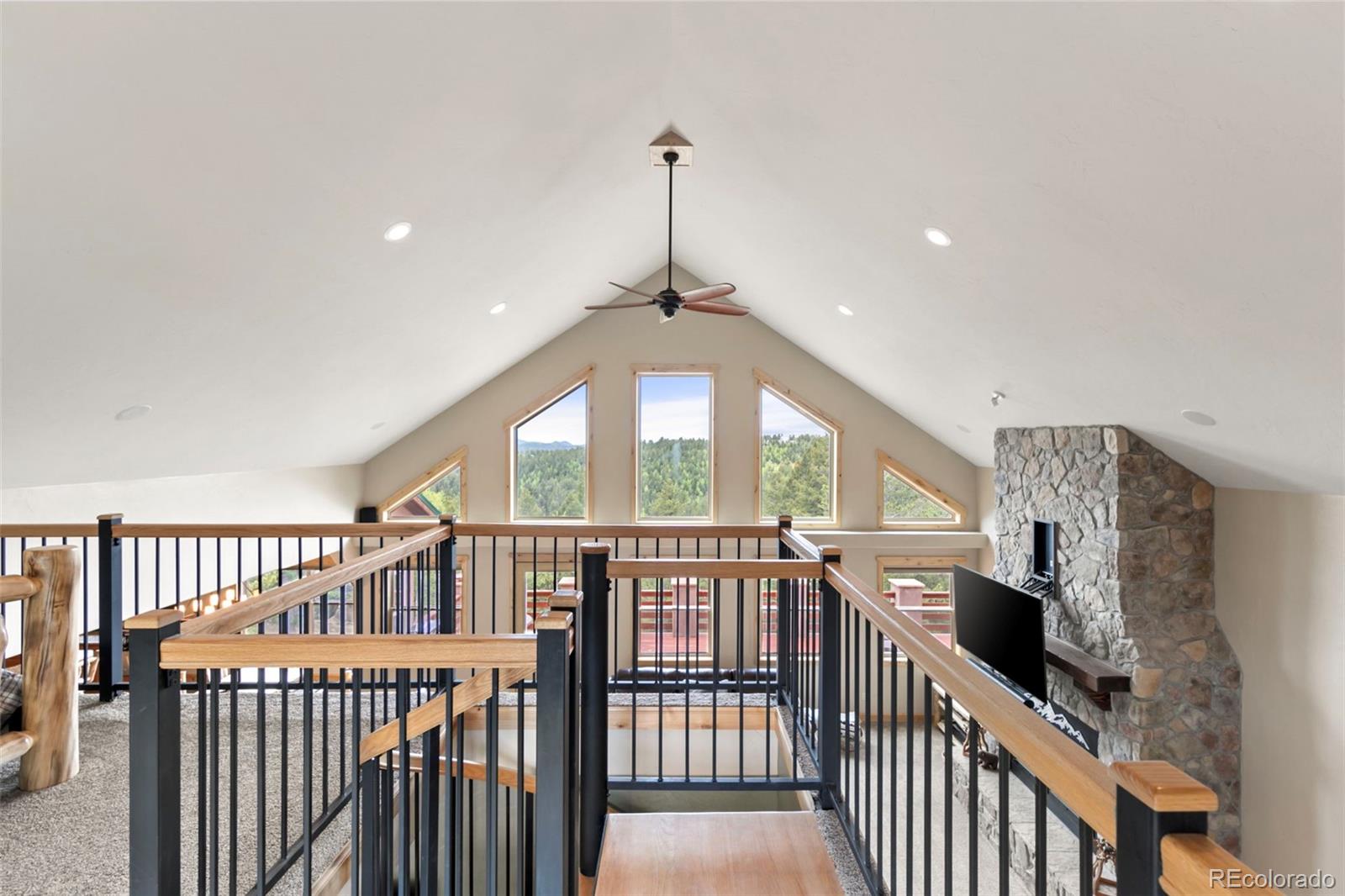 MLS Image #27 for 252  running elk point,divide, Colorado