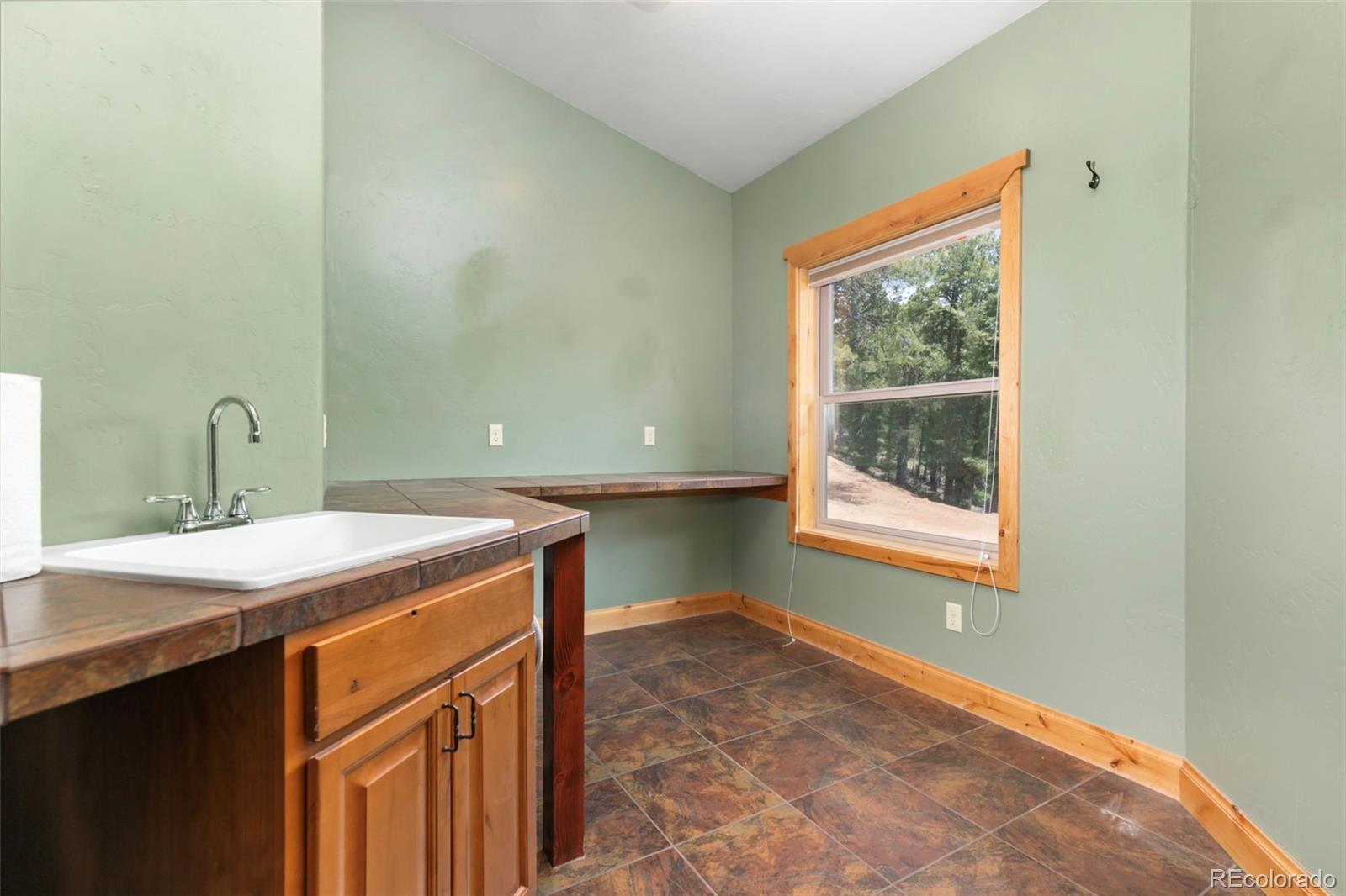 MLS Image #28 for 252  running elk point,divide, Colorado