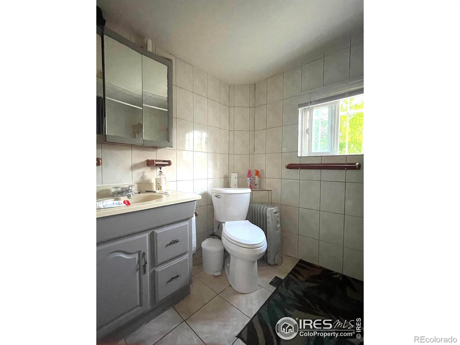 MLS Image #8 for 358  knox court,denver, Colorado