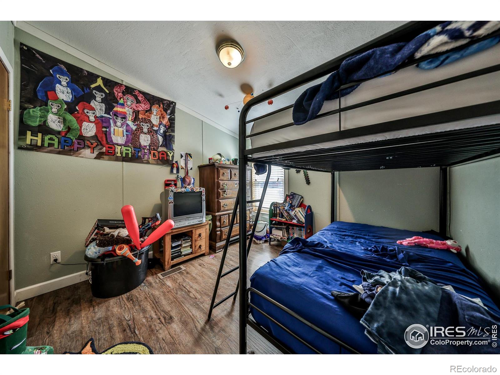 MLS Image #8 for 284  main street,walden, Colorado