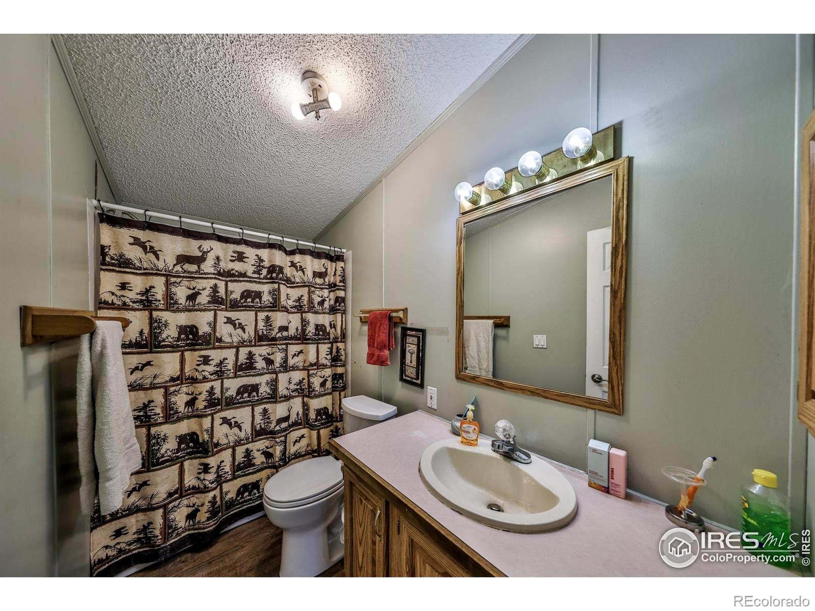 MLS Image #9 for 284  main street,walden, Colorado
