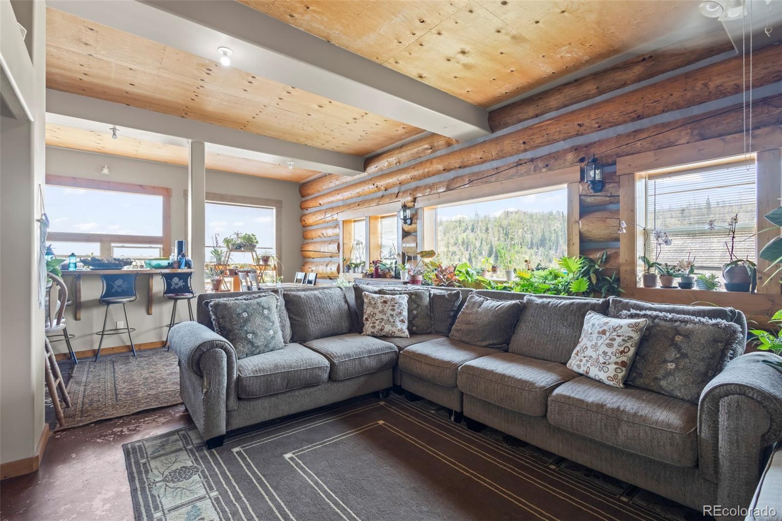 MLS Image #32 for 56  gcr 373 ,parshall, Colorado