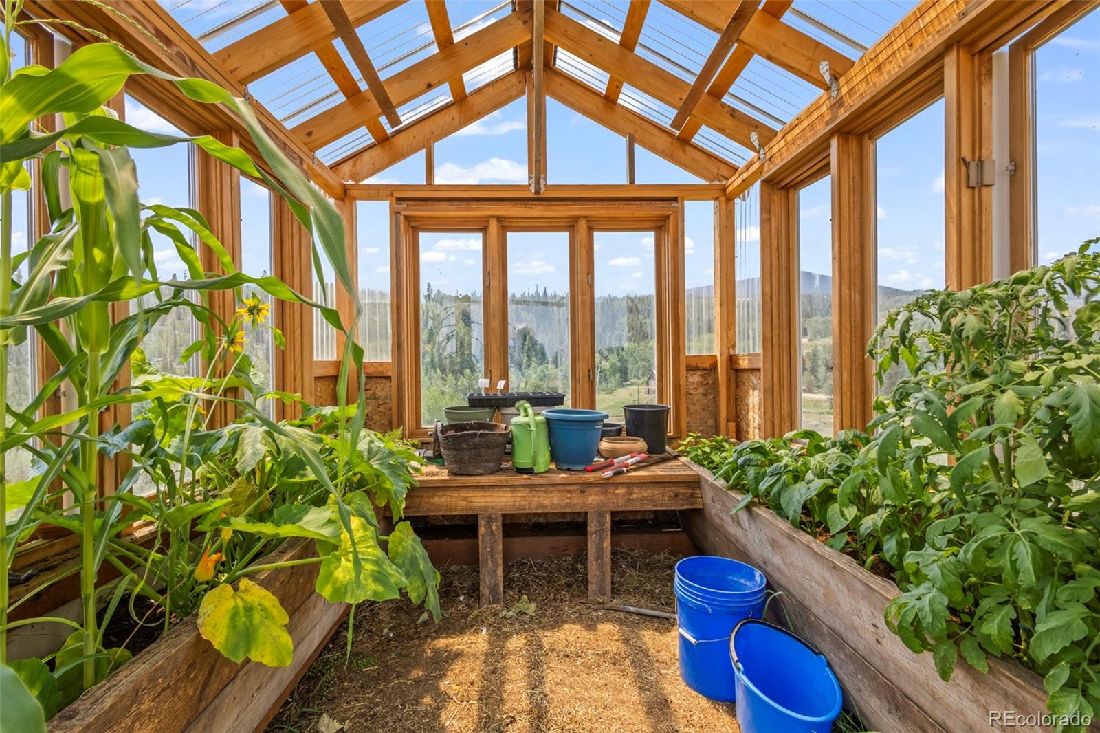 MLS Image #49 for 56  gcr 373 ,parshall, Colorado