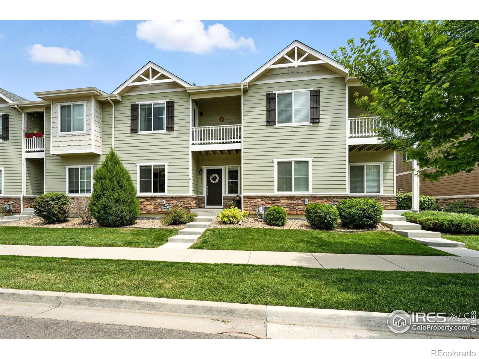 MLS Image #1 for 1214  bistre street,longmont, Colorado