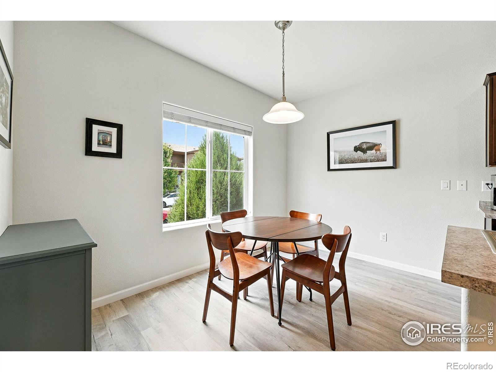 MLS Image #14 for 1214  bistre street,longmont, Colorado
