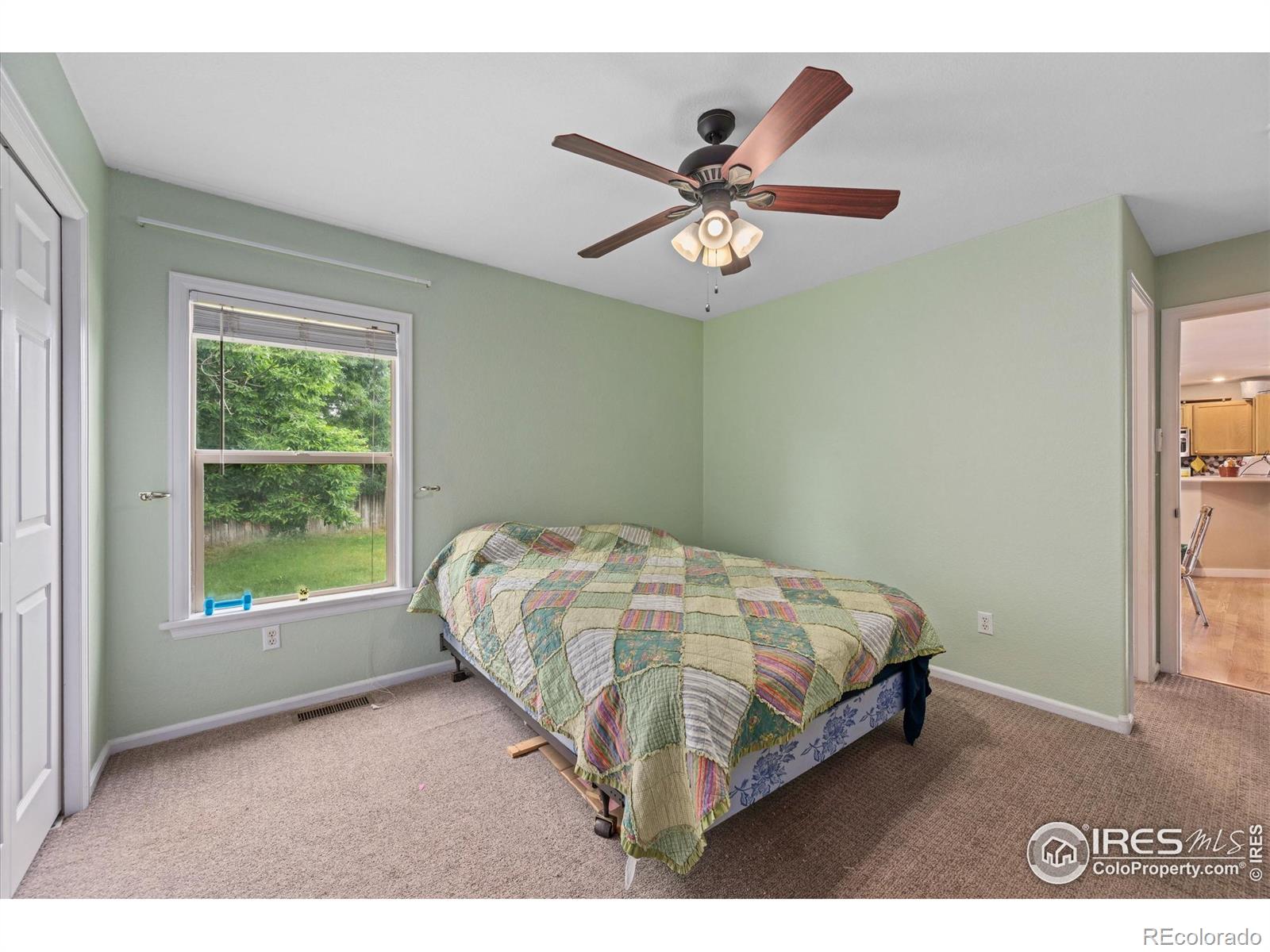 MLS Image #16 for 1000  glacier court,windsor, Colorado