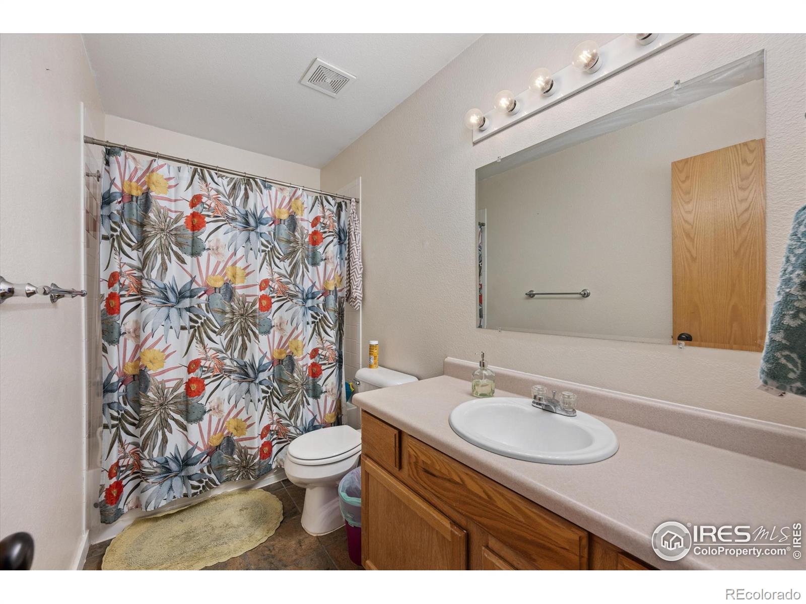MLS Image #18 for 1000  glacier court,windsor, Colorado