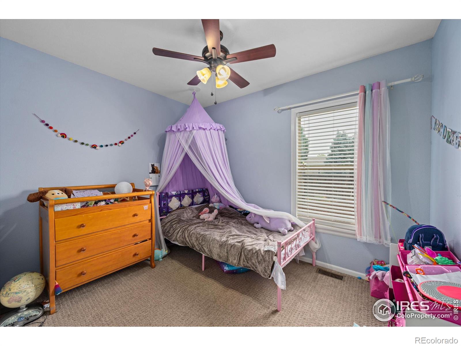 MLS Image #19 for 1000  glacier court,windsor, Colorado