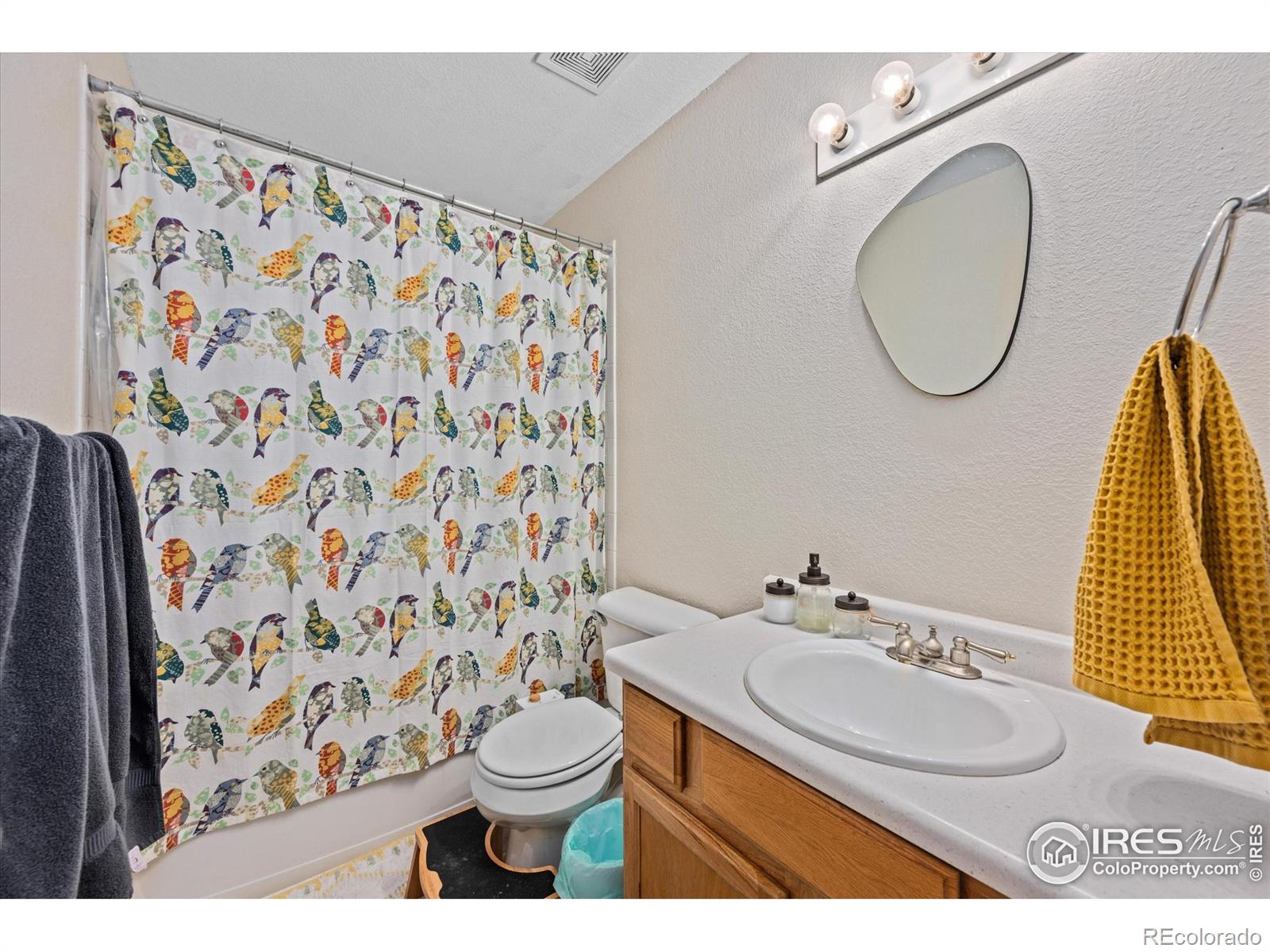 MLS Image #20 for 1000  glacier court,windsor, Colorado