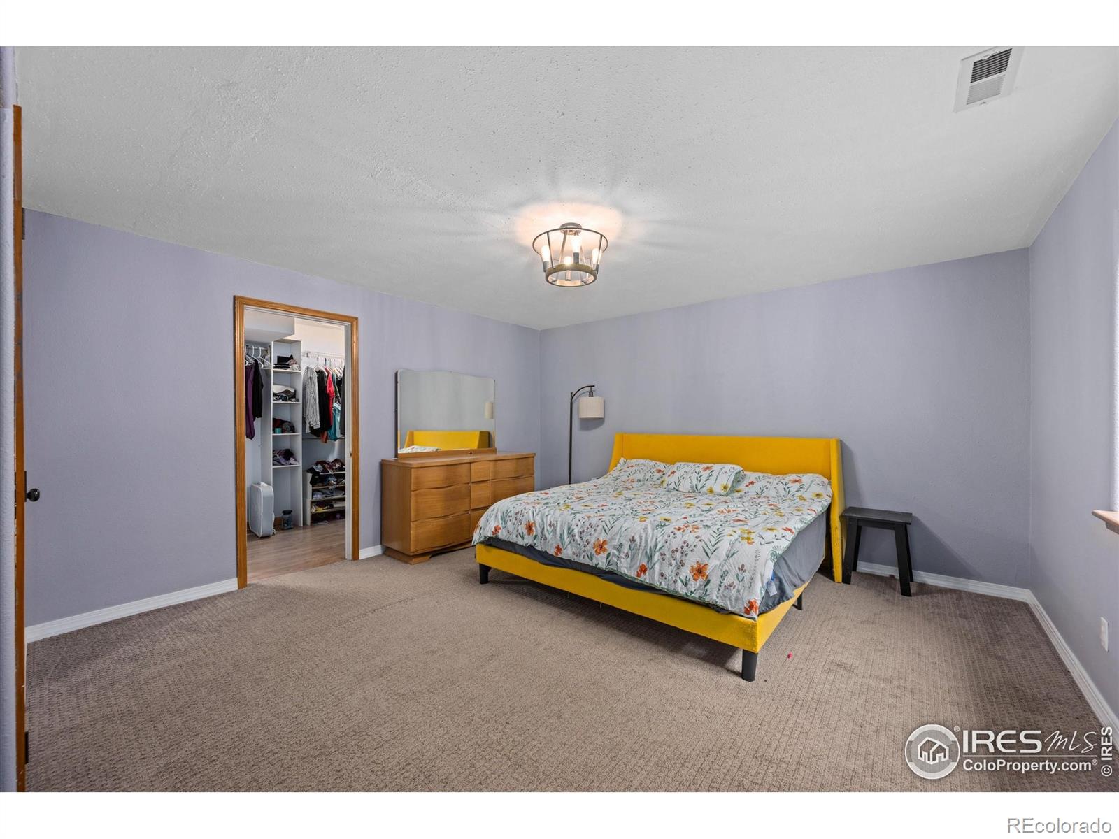 MLS Image #24 for 1000  glacier court,windsor, Colorado