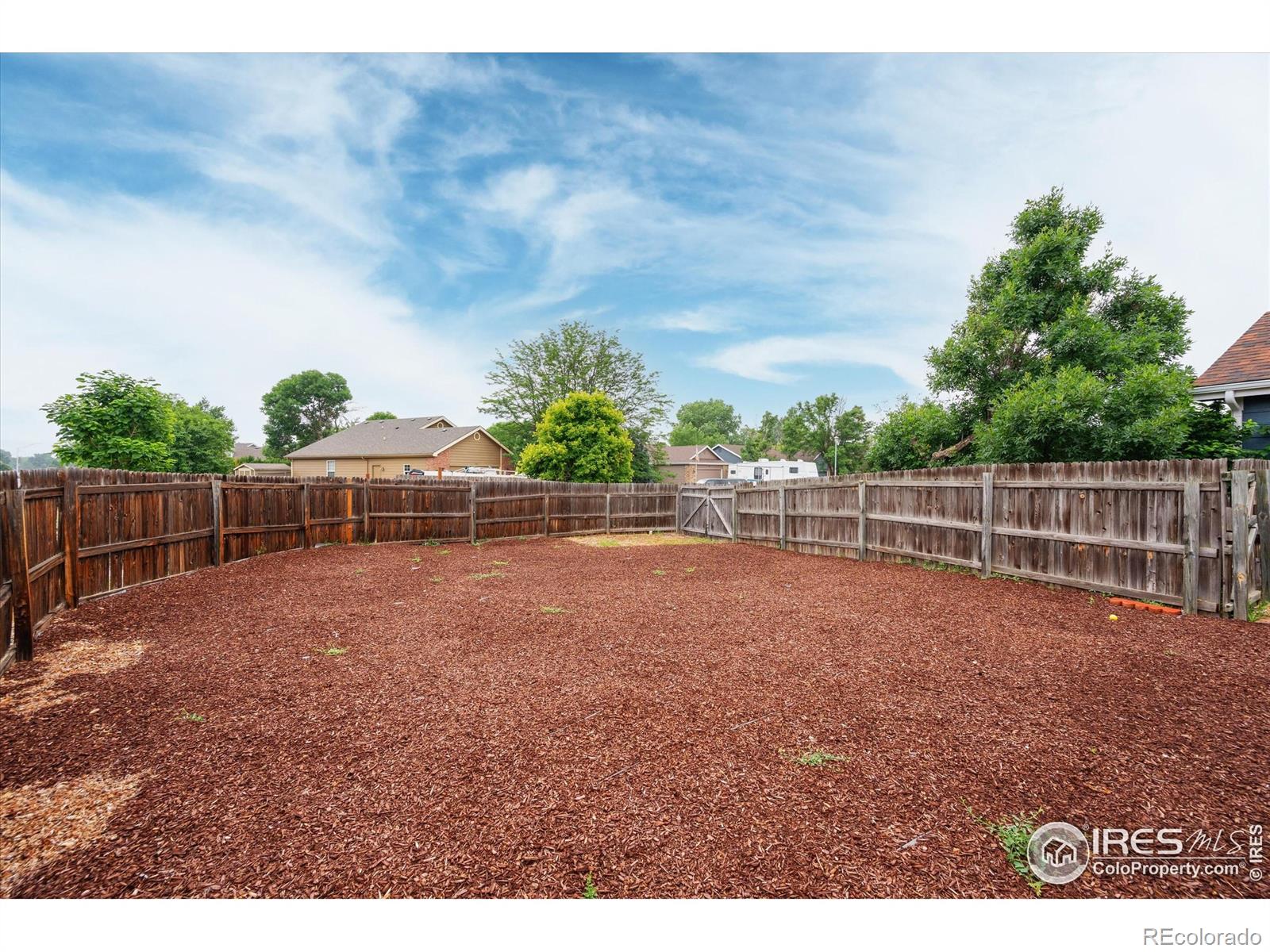 MLS Image #5 for 1000  glacier court,windsor, Colorado