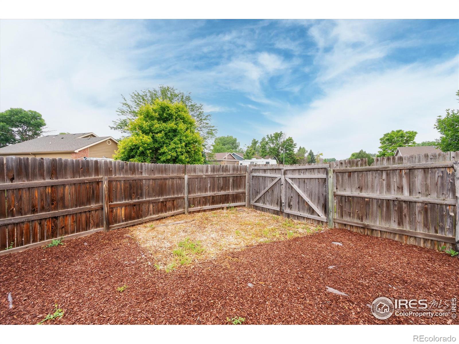 MLS Image #6 for 1000  glacier court,windsor, Colorado
