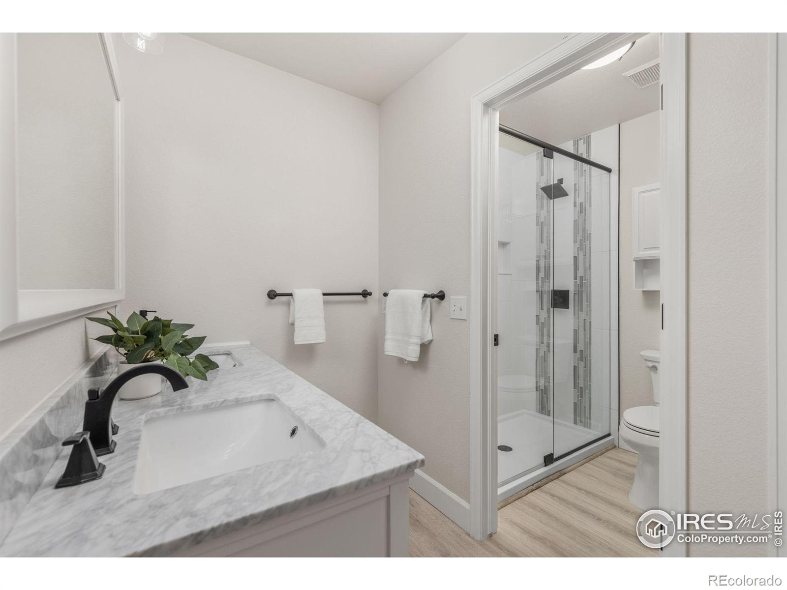 MLS Image #10 for 848  shire court,fort collins, Colorado