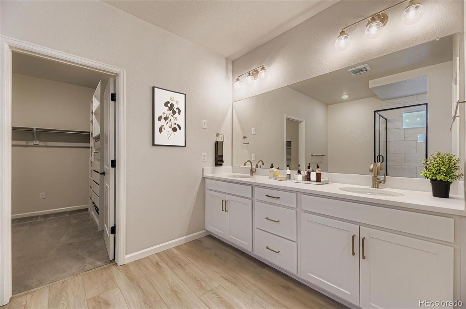 MLS Image #12 for 14425  hop clover street,parker, Colorado