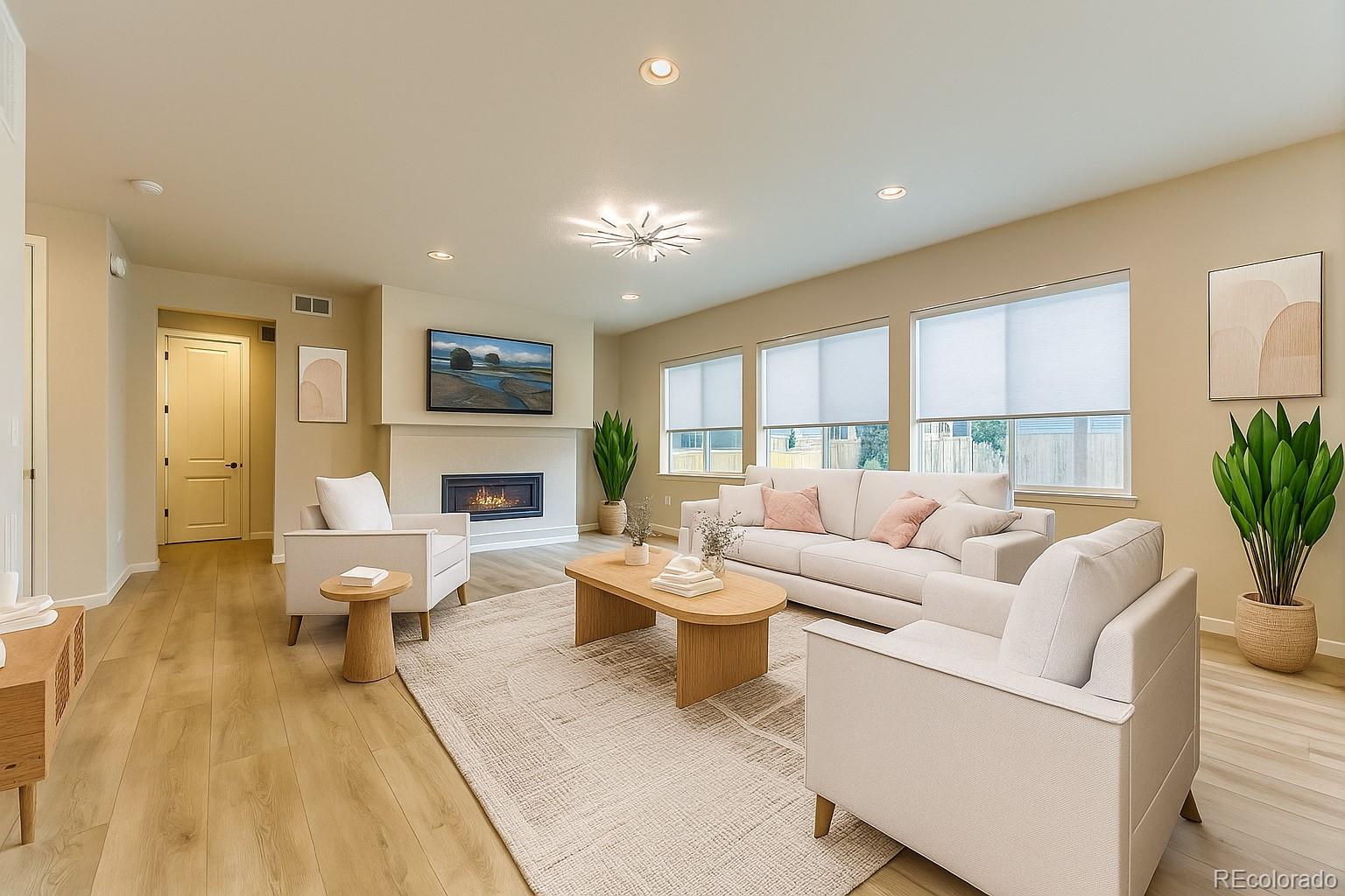 MLS Image #2 for 14425  hop clover street,parker, Colorado