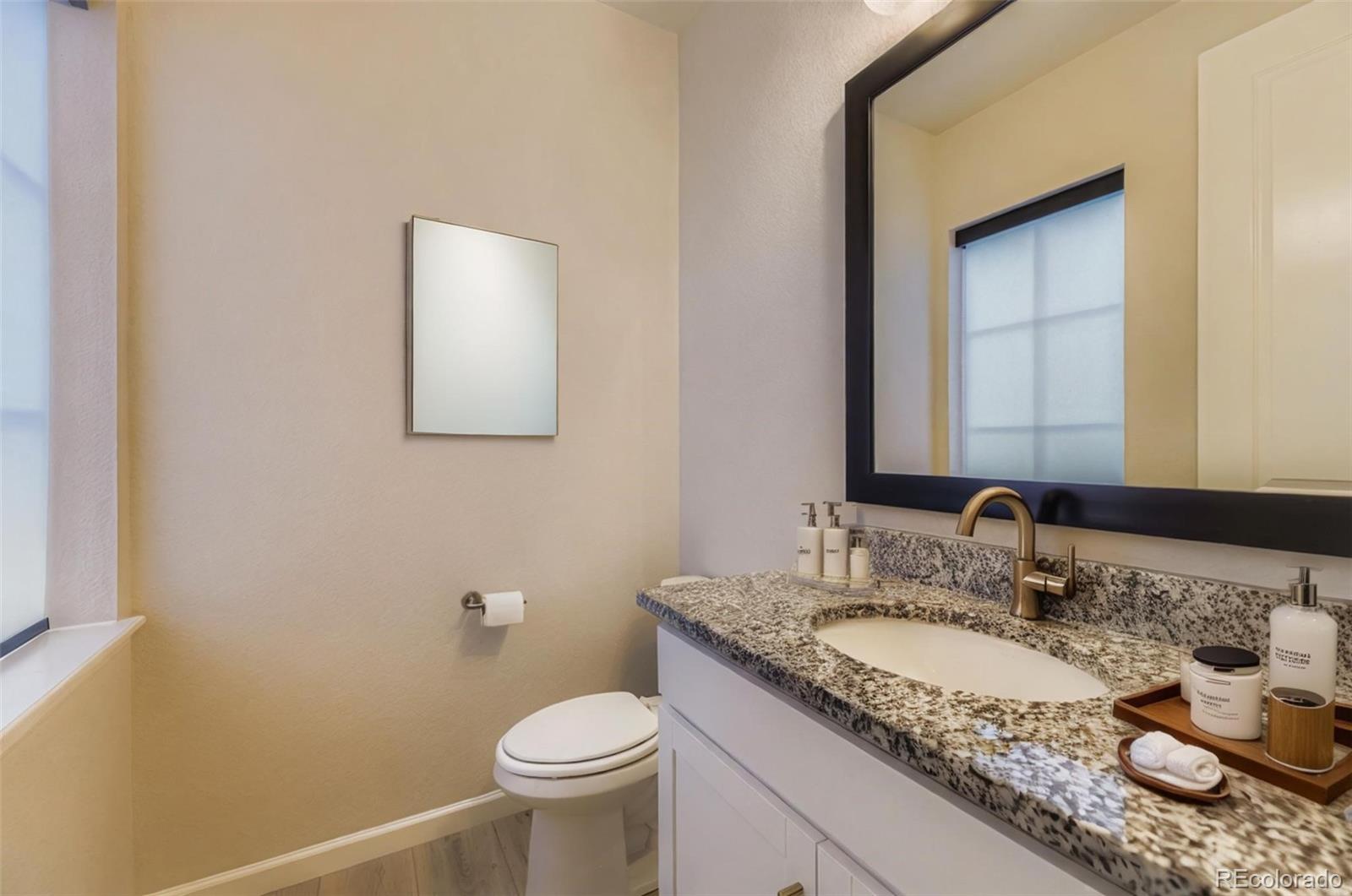 MLS Image #9 for 14425  hop clover street,parker, Colorado