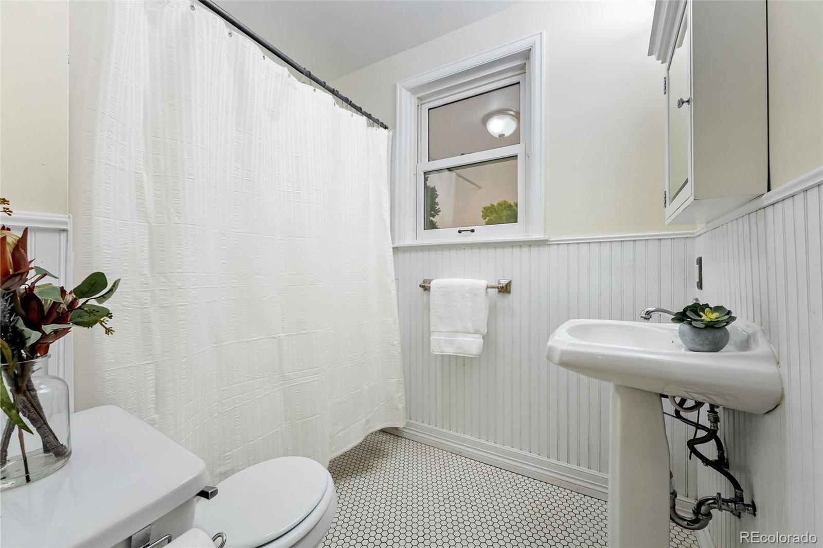 MLS Image #17 for 1629 n tejon street,colorado springs, Colorado