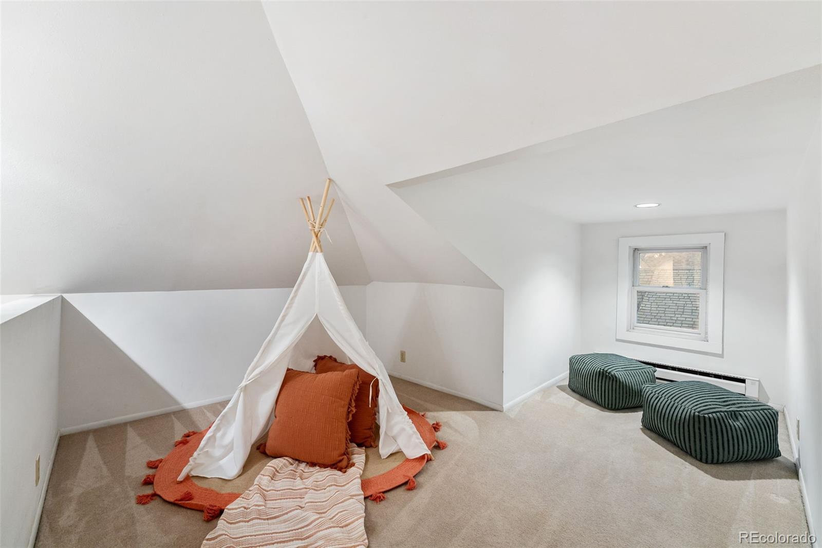 MLS Image #18 for 1629 n tejon street,colorado springs, Colorado