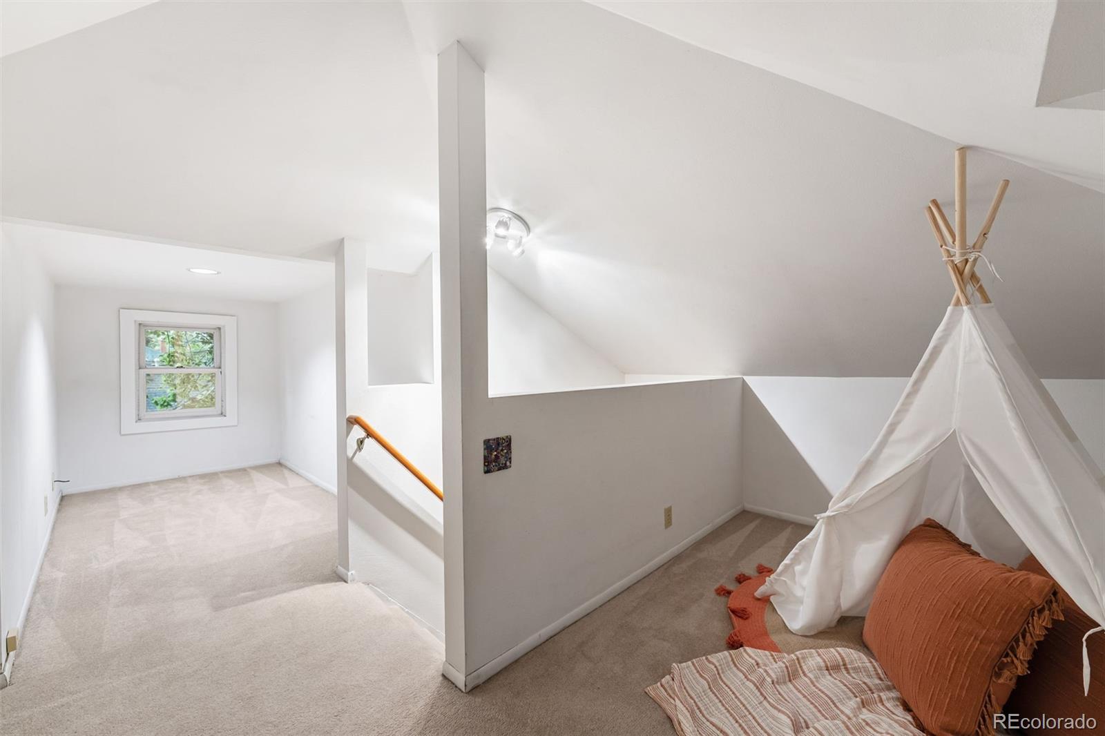 MLS Image #19 for 1629 n tejon street,colorado springs, Colorado