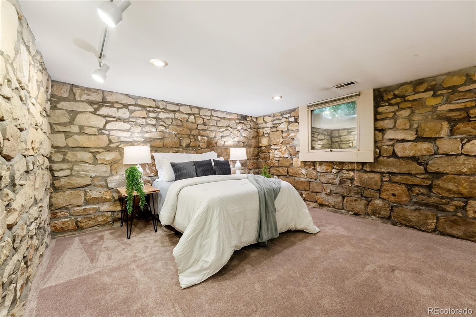 MLS Image #20 for 1629 n tejon street,colorado springs, Colorado