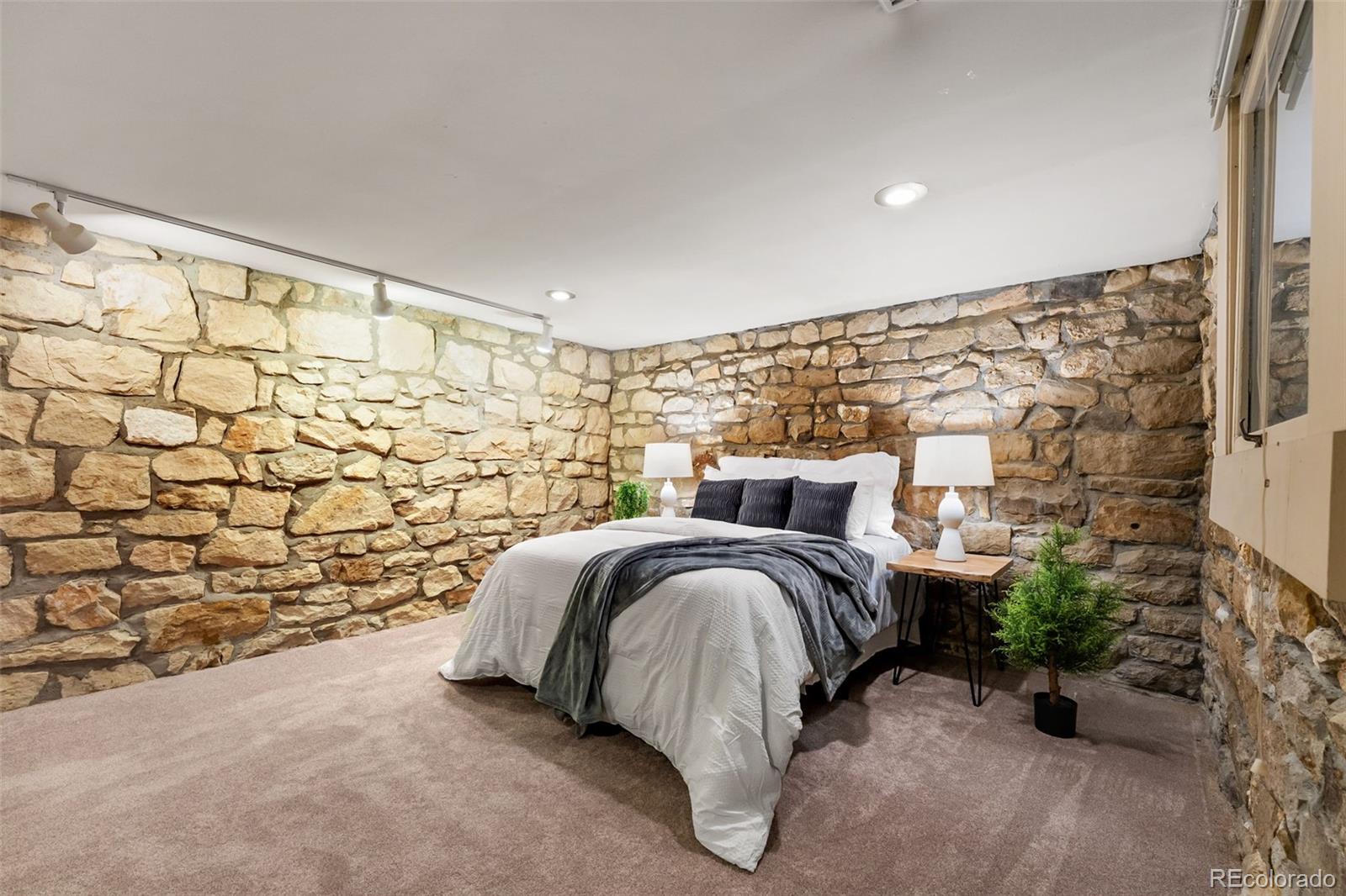 MLS Image #21 for 1629 n tejon street,colorado springs, Colorado