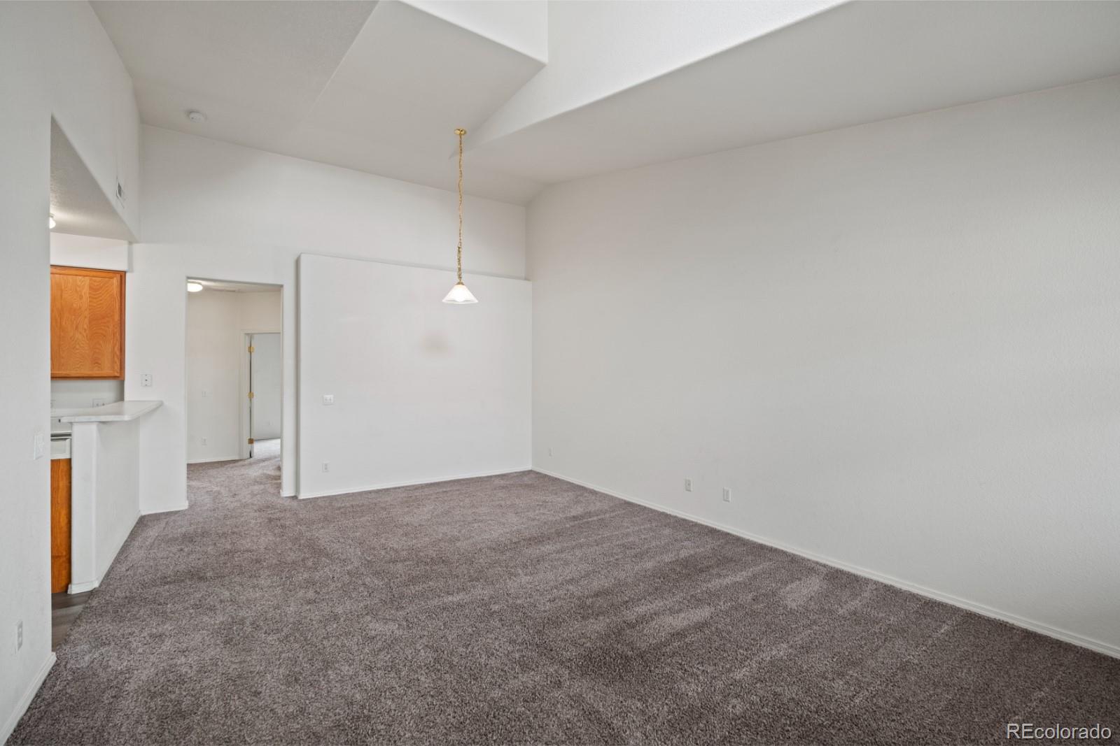 MLS Image #4 for 1280  paula circle,monument, Colorado