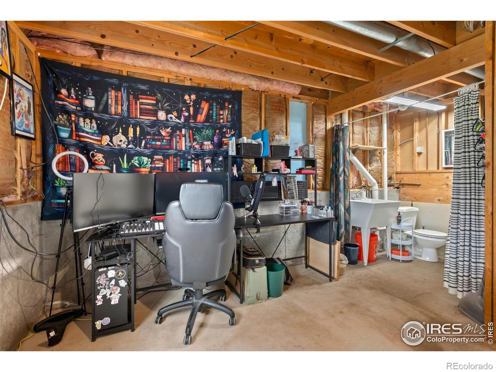 MLS Image #13 for 3702  dalton drive,fort collins, Colorado