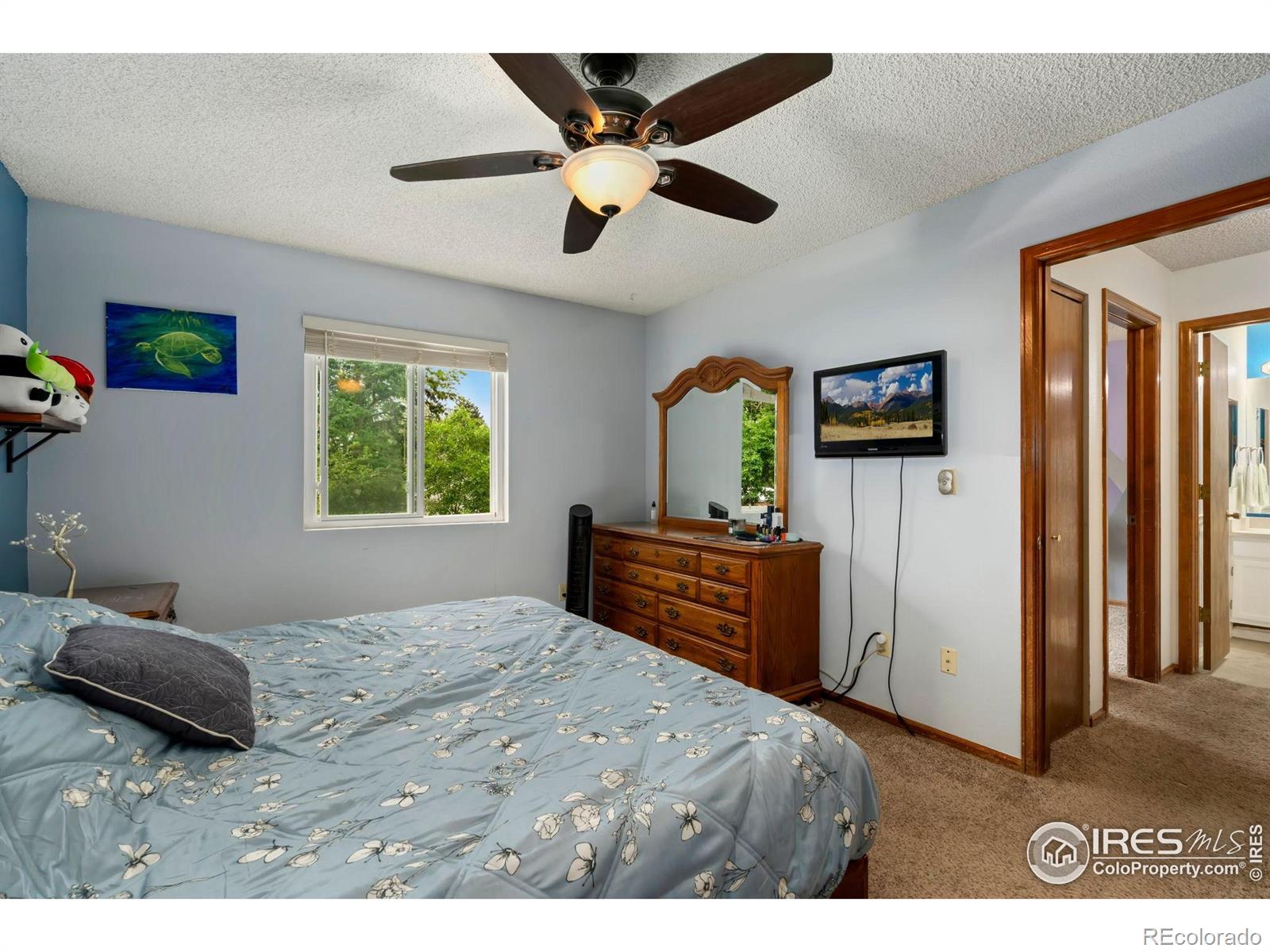 MLS Image #9 for 3702  dalton drive,fort collins, Colorado