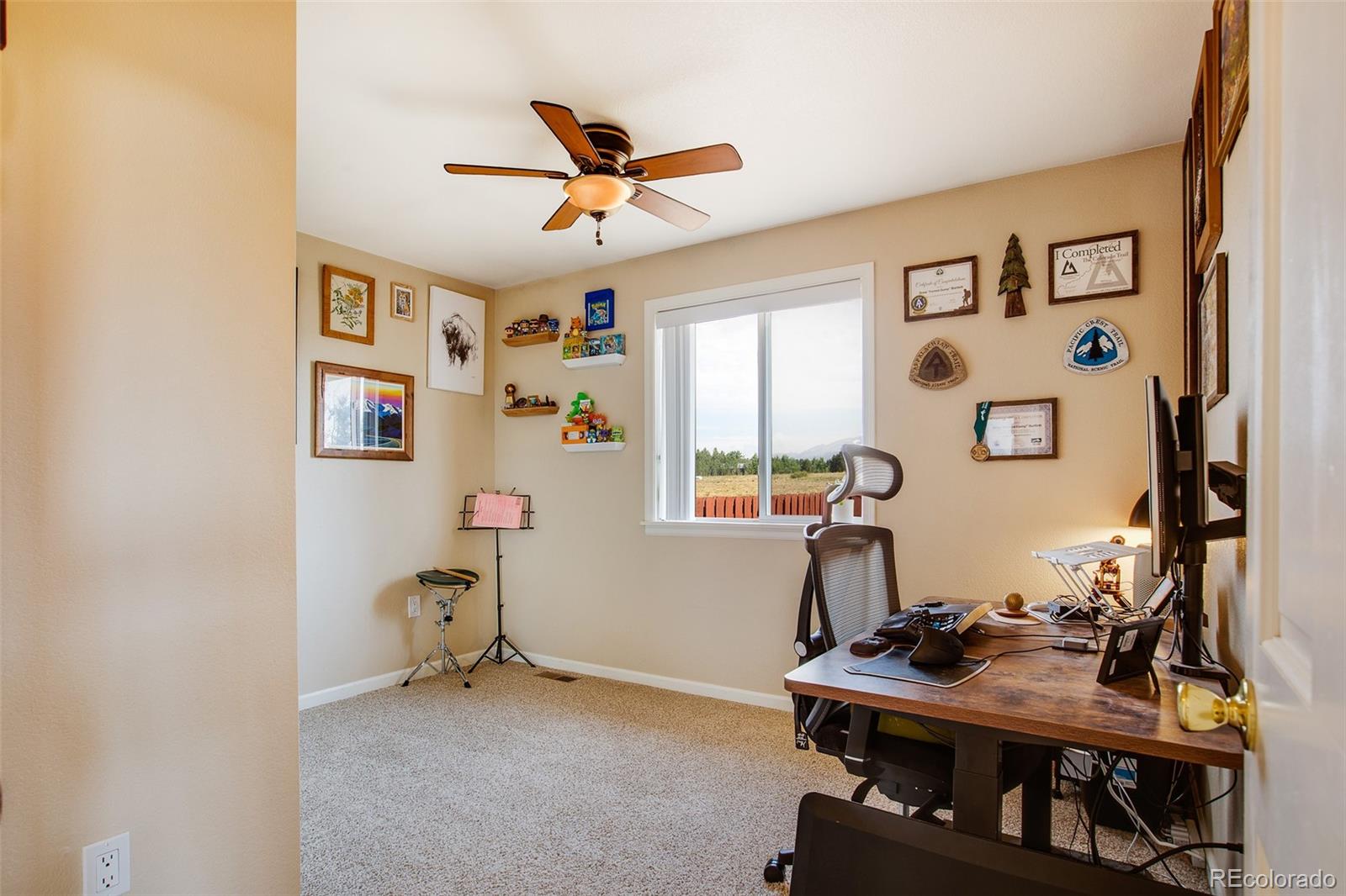 MLS Image #12 for 119  bristlecone lane ,fairplay, Colorado