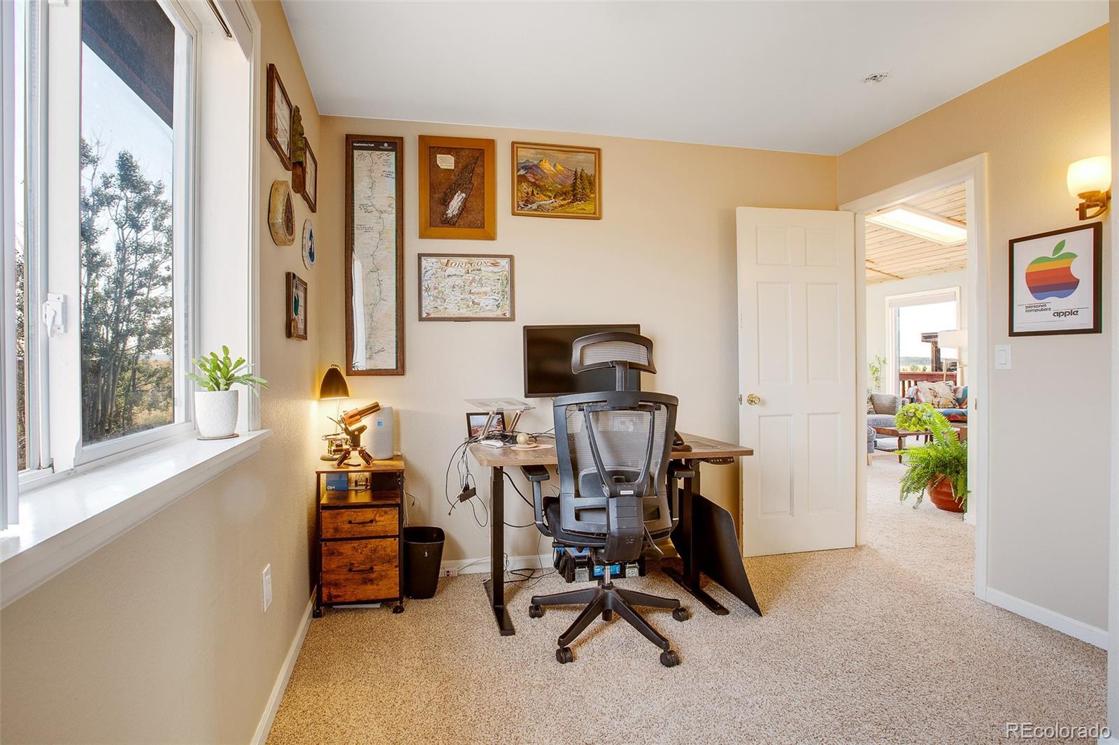 MLS Image #13 for 119  bristlecone lane ,fairplay, Colorado