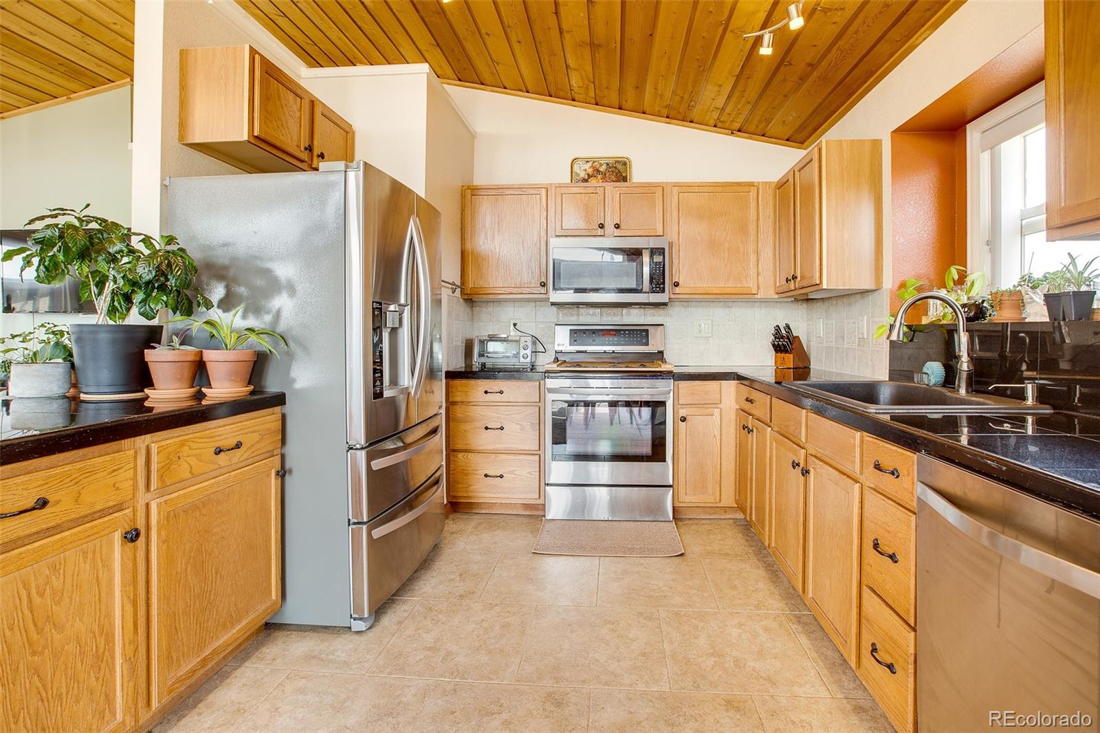 MLS Image #38 for 119  bristlecone lane ,fairplay, Colorado