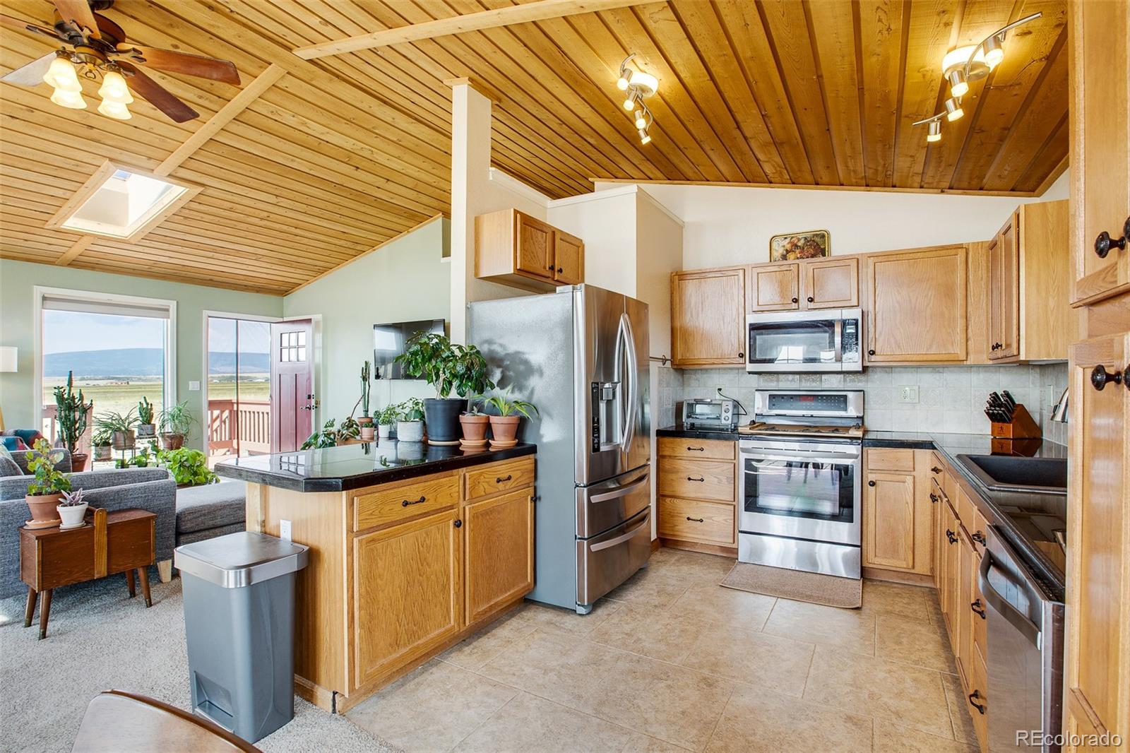 MLS Image #4 for 119  bristlecone lane ,fairplay, Colorado