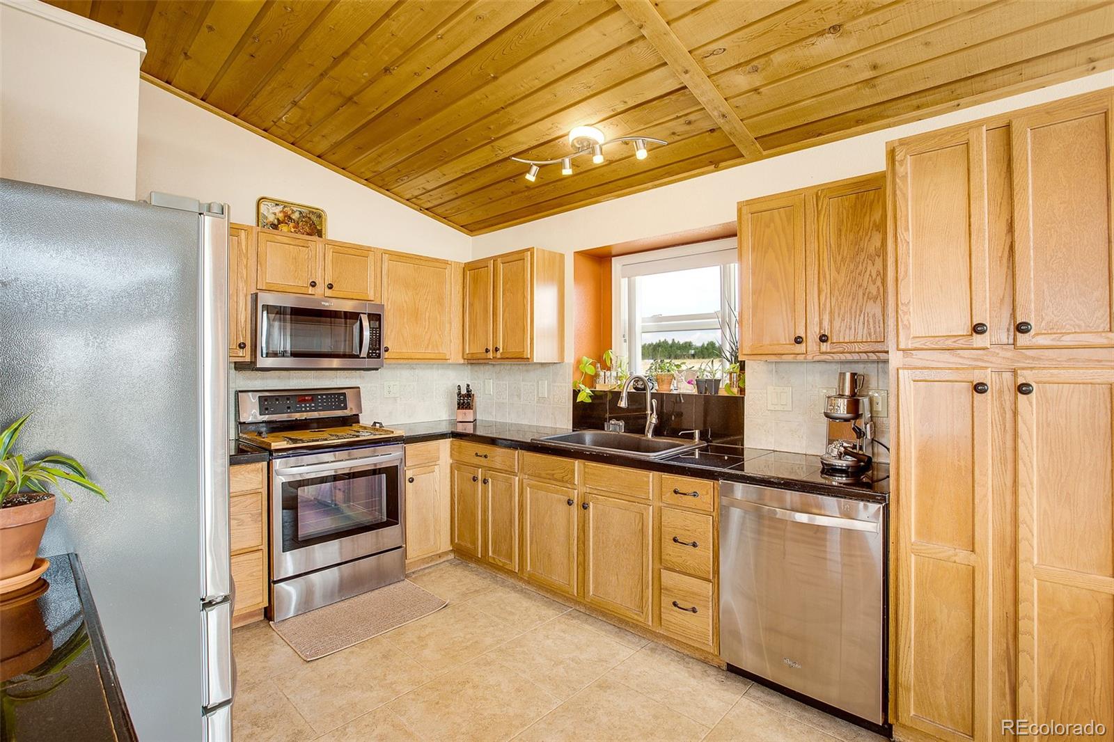 MLS Image #41 for 119  bristlecone lane ,fairplay, Colorado