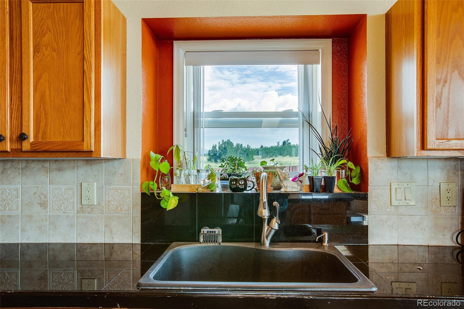 MLS Image #42 for 119  bristlecone lane ,fairplay, Colorado