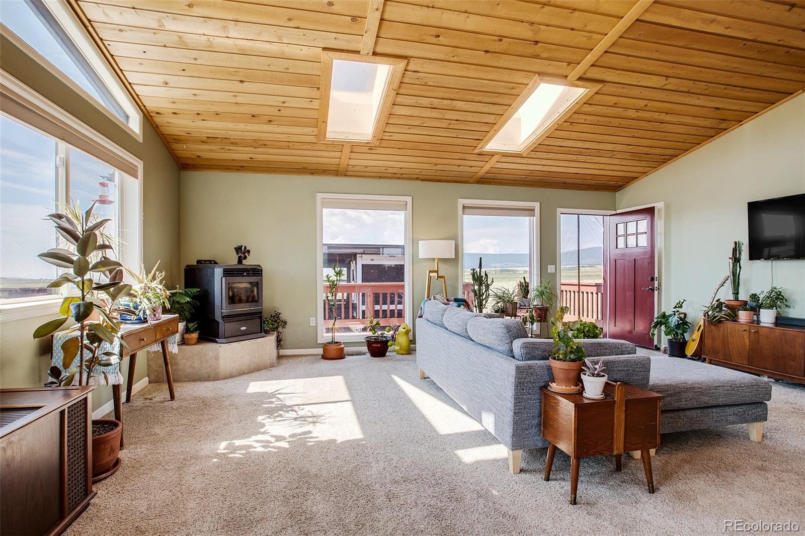 MLS Image #5 for 119  bristlecone lane ,fairplay, Colorado