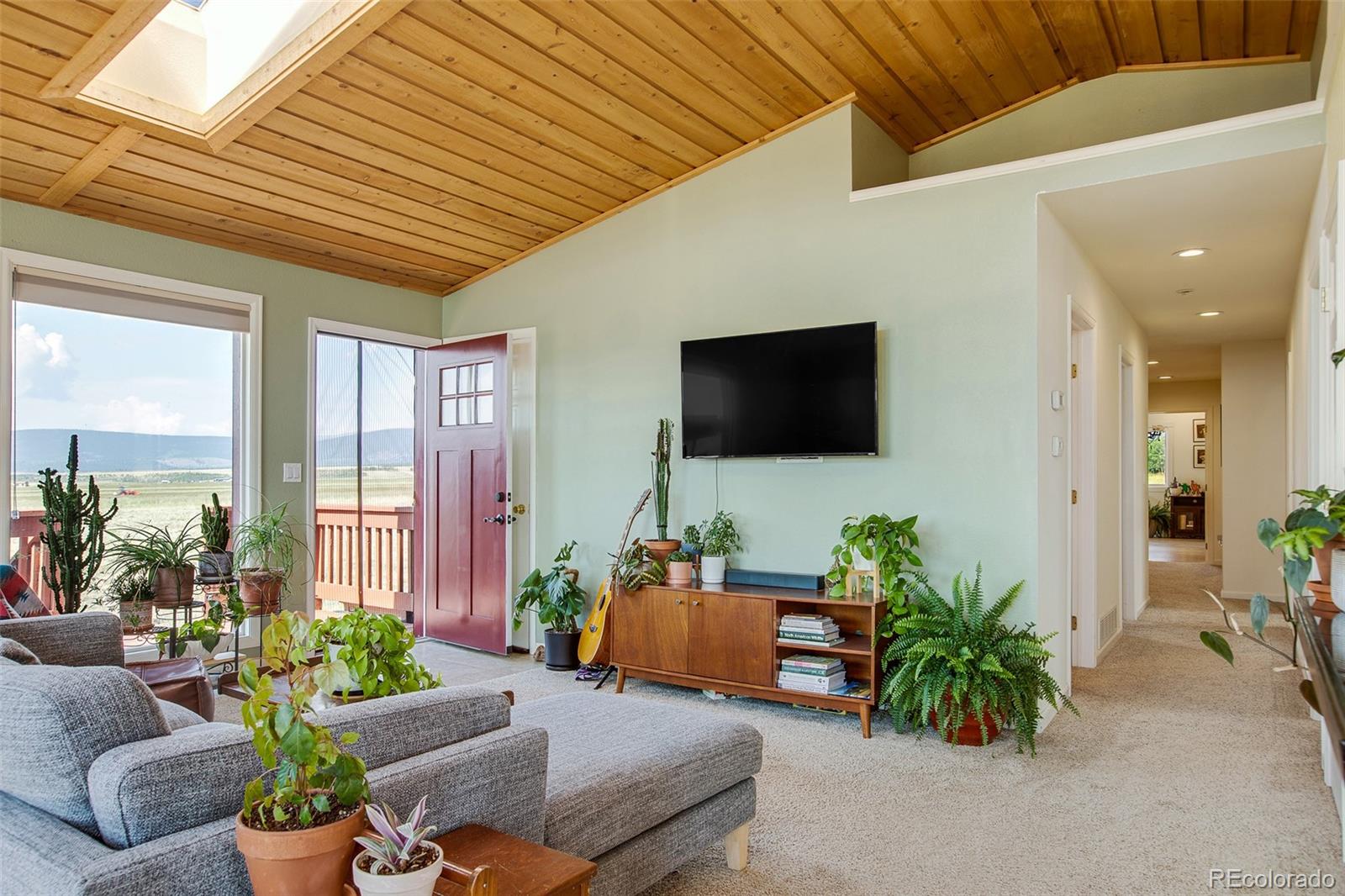 MLS Image #9 for 119  bristlecone lane ,fairplay, Colorado