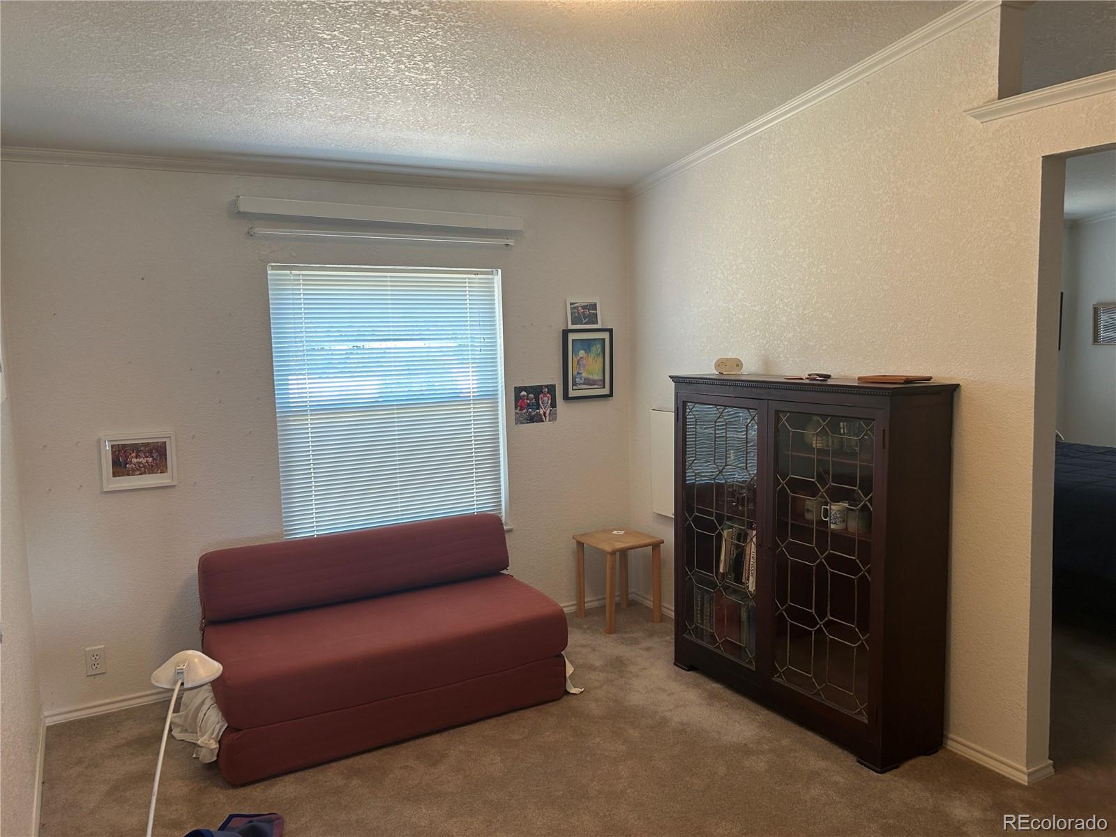 MLS Image #6 for 536  seneca circle,walsenburg, Colorado