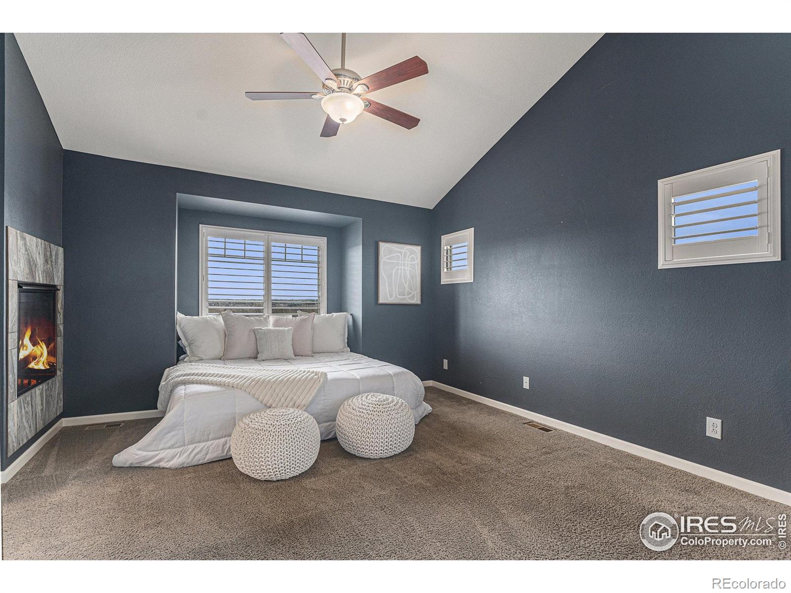 MLS Image #16 for 18348  french creek avenue,parker, Colorado