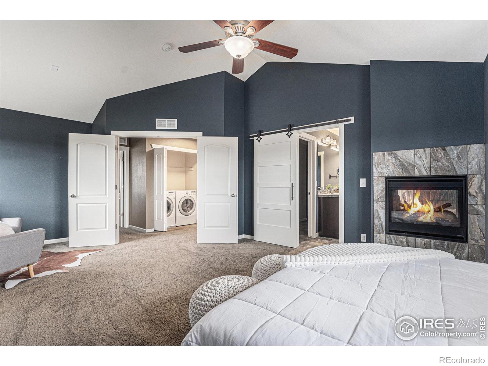 MLS Image #18 for 18348  french creek avenue,parker, Colorado