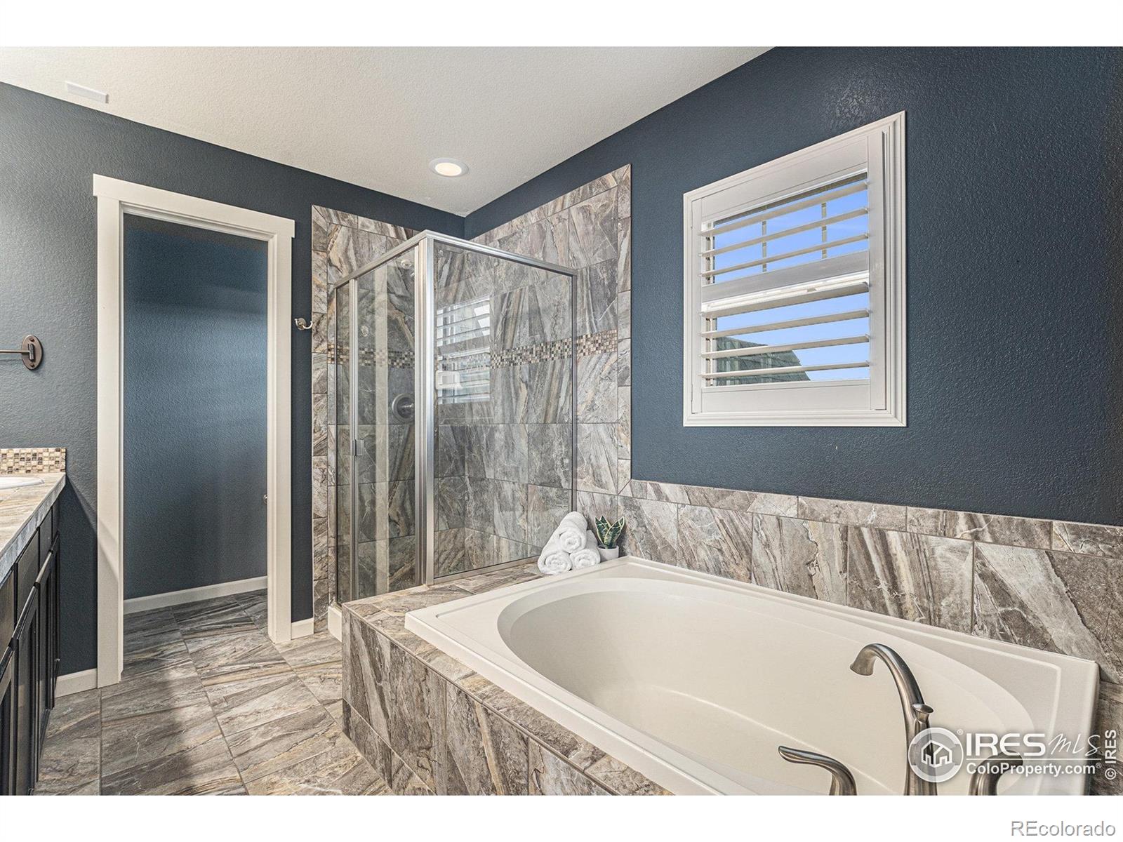 MLS Image #20 for 18348  french creek avenue,parker, Colorado