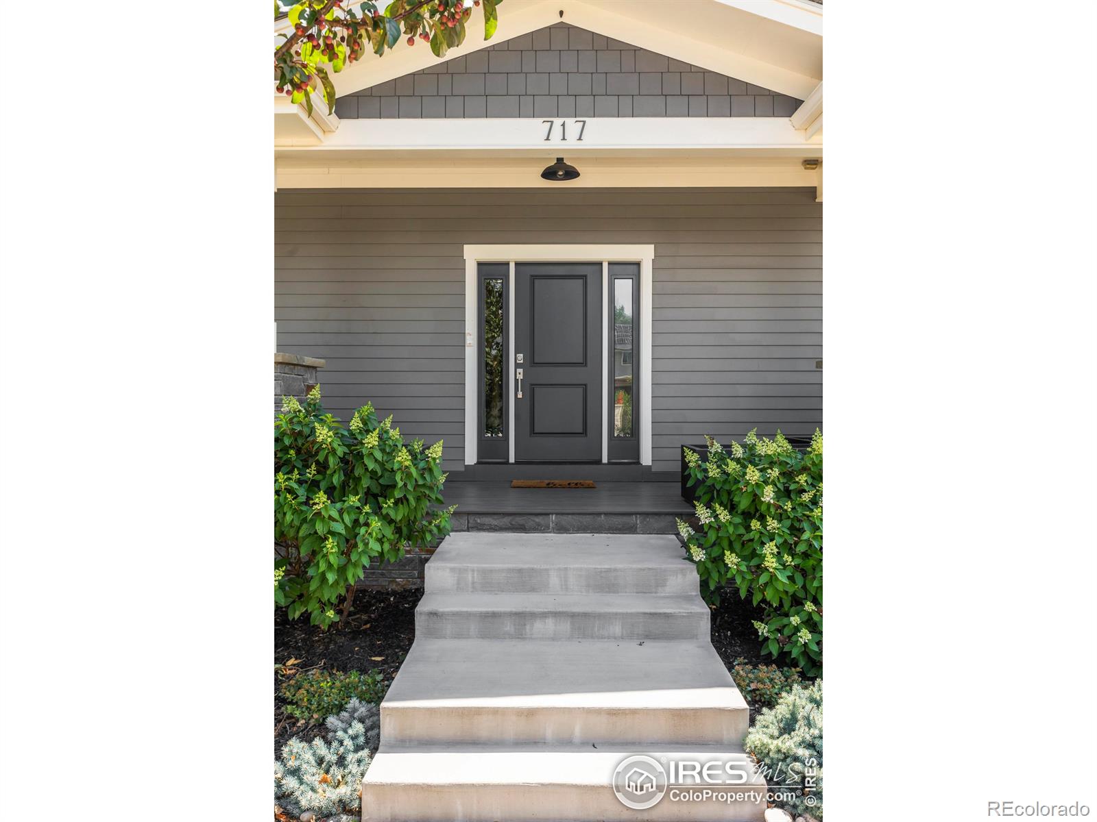 MLS Image #4 for 717  peregoy farms way,fort collins, Colorado
