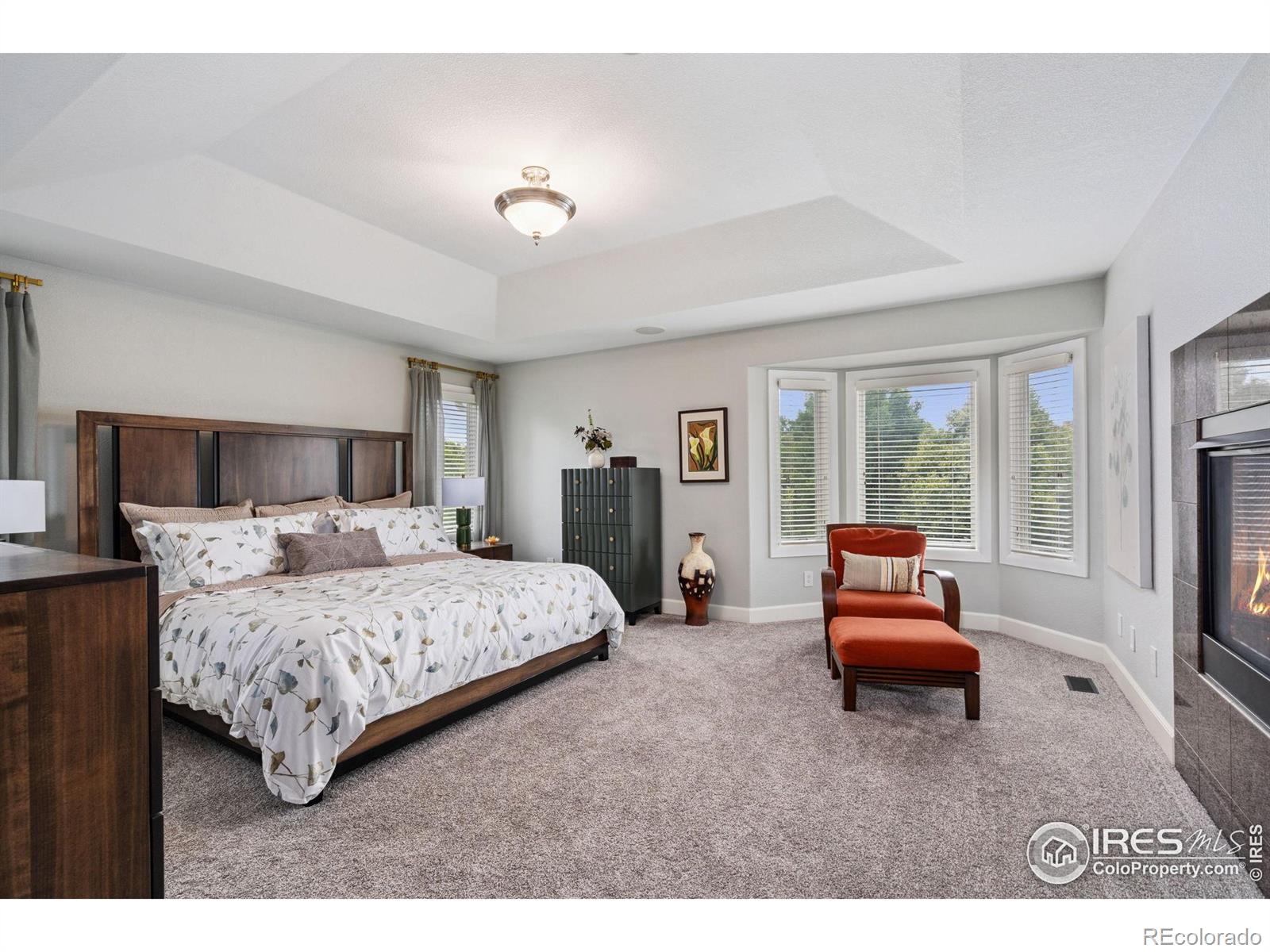 MLS Image #15 for 3160  rock park drive,fort collins, Colorado