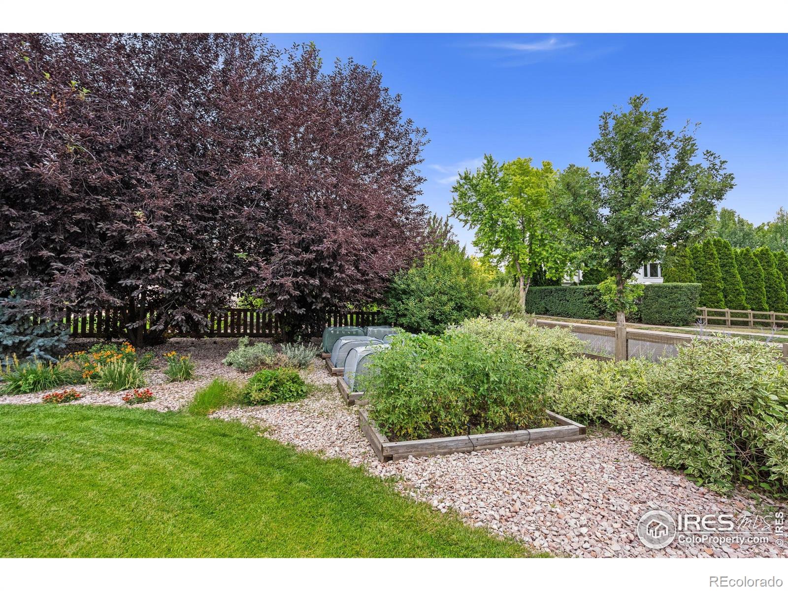 MLS Image #32 for 3160  rock park drive,fort collins, Colorado