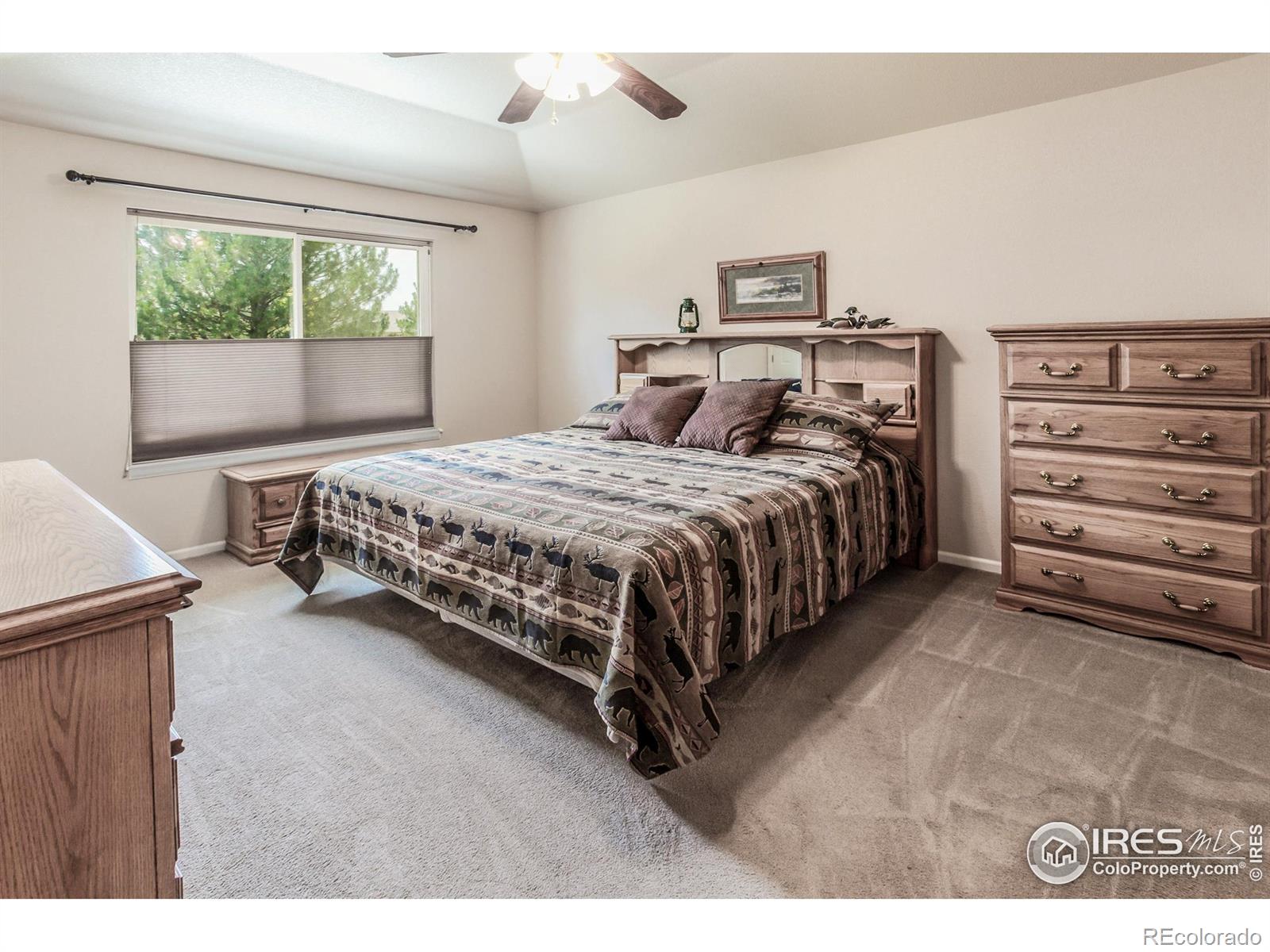 MLS Image #15 for 515  limber pine court,severance, Colorado