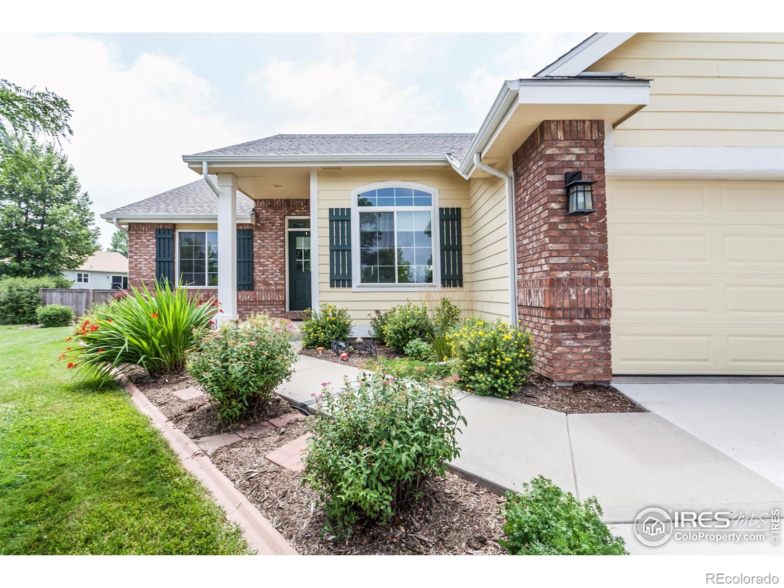 MLS Image #2 for 515  limber pine court,severance, Colorado