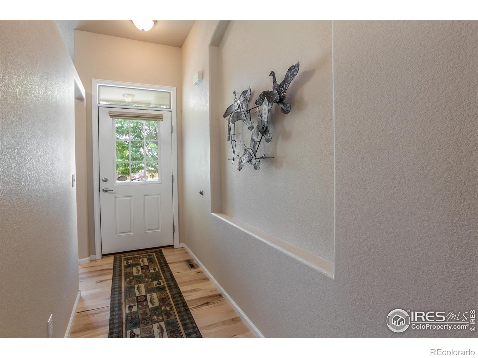 MLS Image #3 for 515  limber pine court,severance, Colorado