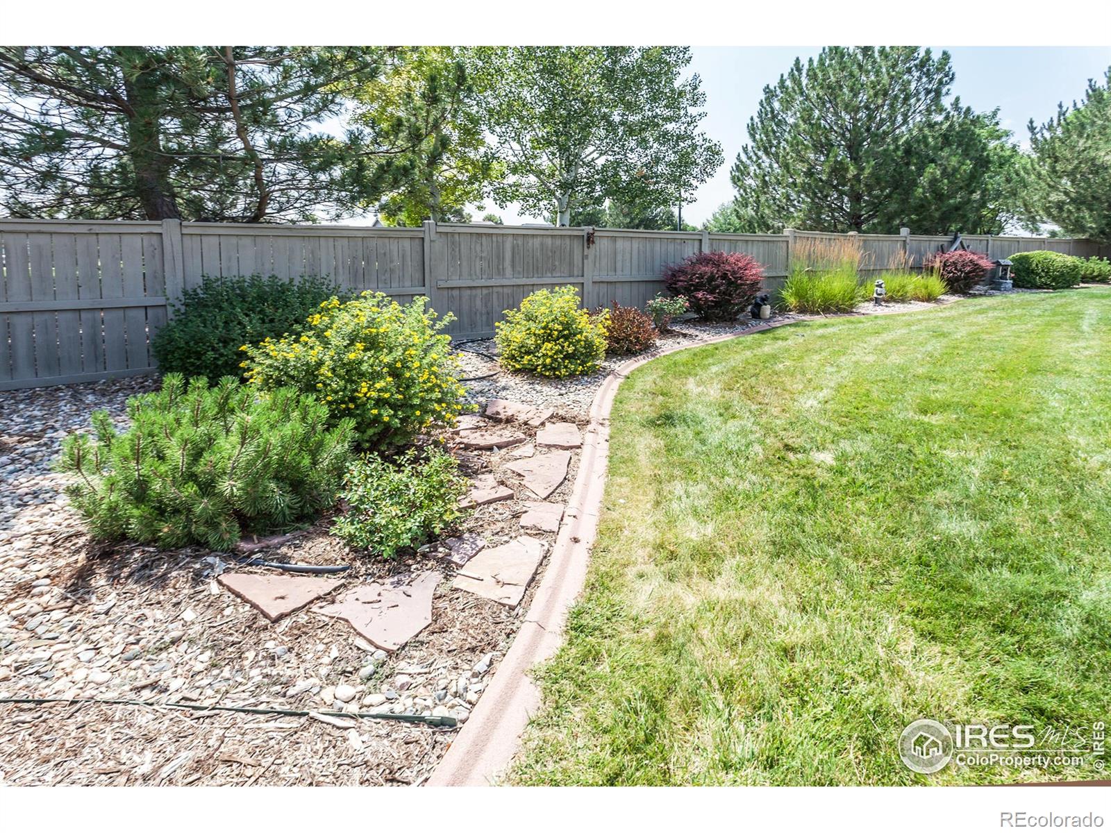 MLS Image #32 for 515  limber pine court,severance, Colorado